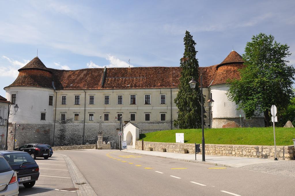 Apartment Gasa Brežice Cameră foto